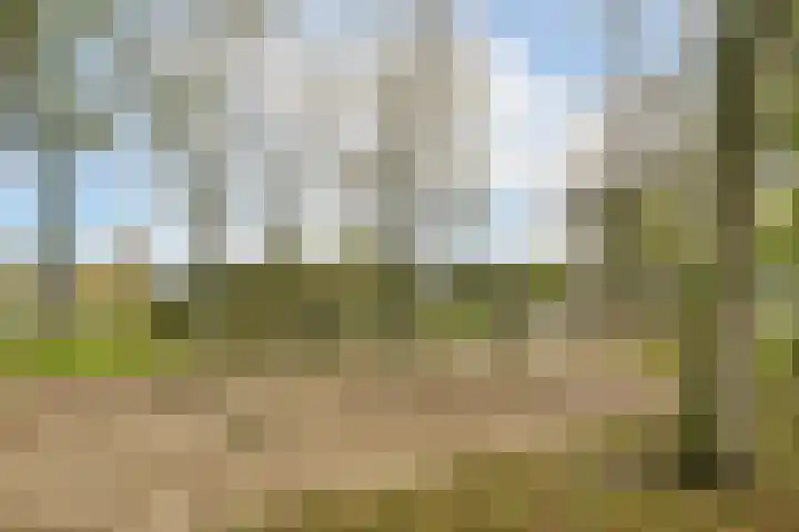 Francijntje de Kadtlaan 3 Vlaardingen thumbnail 49
