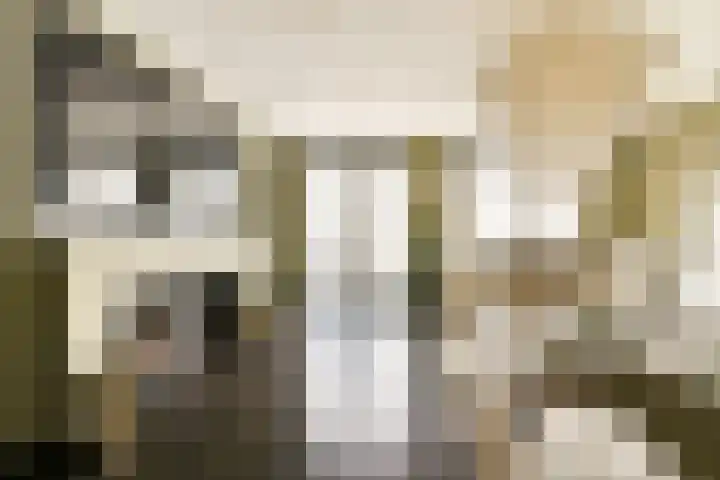 Francijntje de Kadtlaan 3 Vlaardingen thumbnail 9