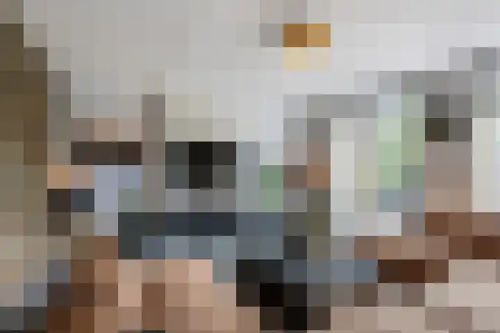 Francijntje de Kadtlaan 35 Vlaardingen thumbnail 11