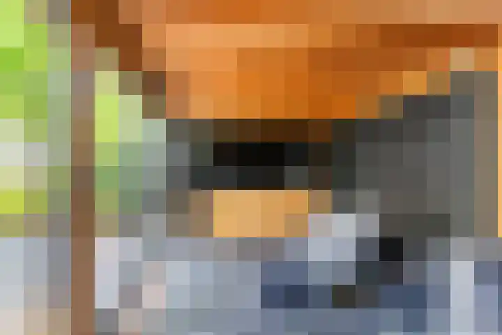 Francijntje de Kadtlaan 35 Vlaardingen thumbnail 15