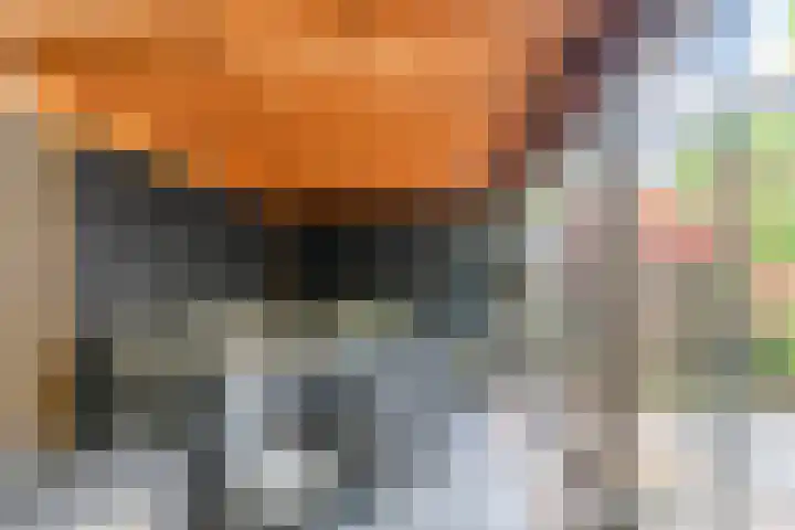 Francijntje de Kadtlaan 35 Vlaardingen thumbnail 16