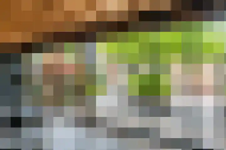 Francijntje de Kadtlaan 35 Vlaardingen thumbnail 17