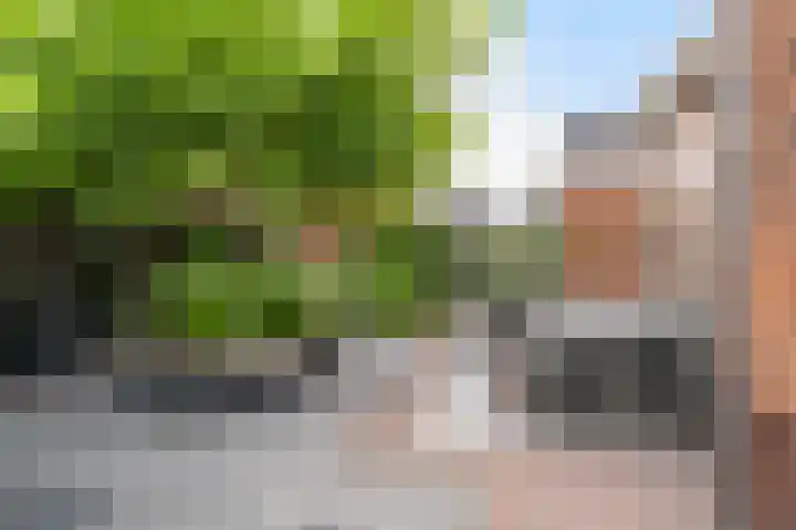 Francijntje de Kadtlaan 35 Vlaardingen thumbnail 18