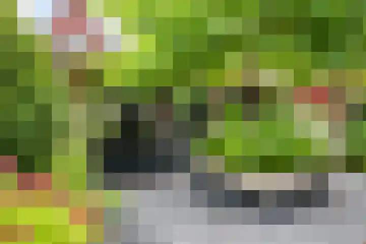 Francijntje de Kadtlaan 35 Vlaardingen thumbnail 19