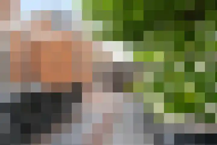 Francijntje de Kadtlaan 35 Vlaardingen thumbnail 20