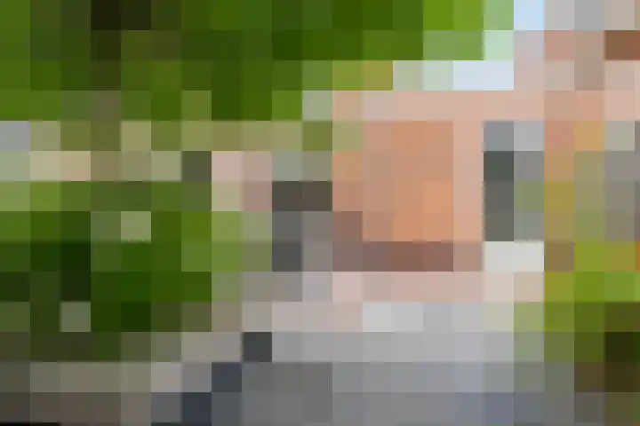 Francijntje de Kadtlaan 35 Vlaardingen thumbnail 21