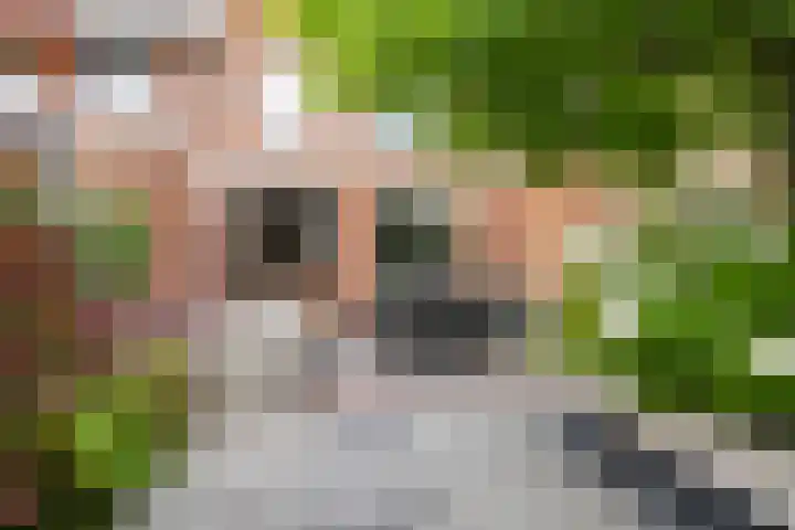 Francijntje de Kadtlaan 35 Vlaardingen thumbnail 22