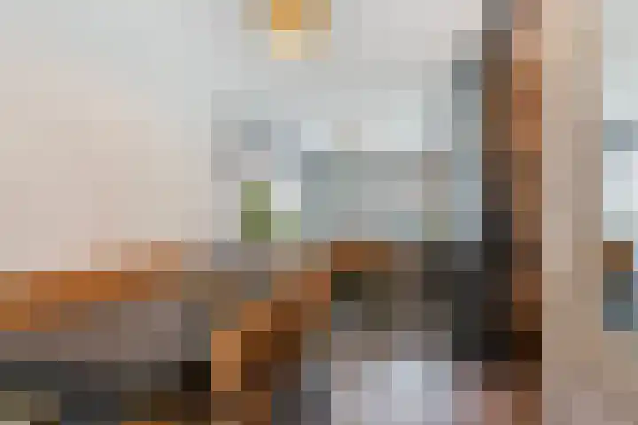 Francijntje de Kadtlaan 35 Vlaardingen thumbnail 23