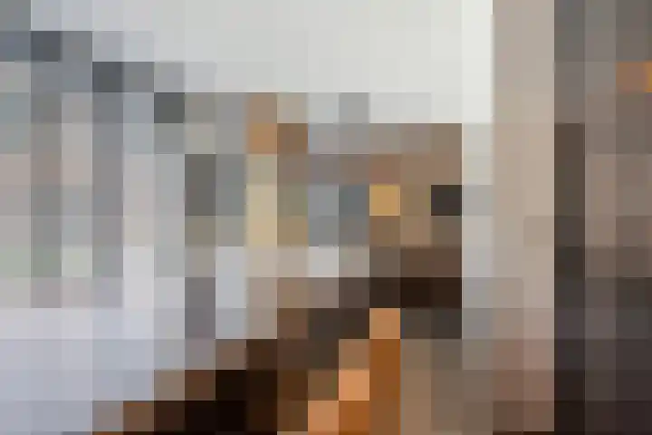 Francijntje de Kadtlaan 35 Vlaardingen thumbnail 24