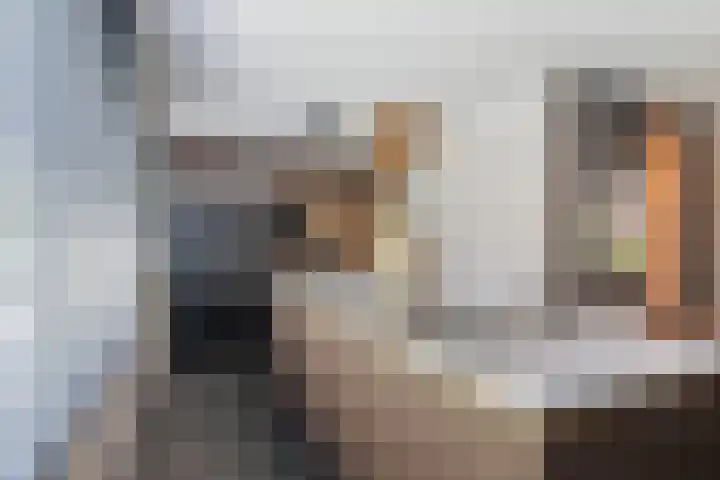 Francijntje de Kadtlaan 35 Vlaardingen thumbnail 25