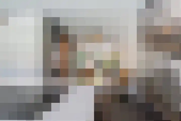 Francijntje de Kadtlaan 35 Vlaardingen thumbnail 26