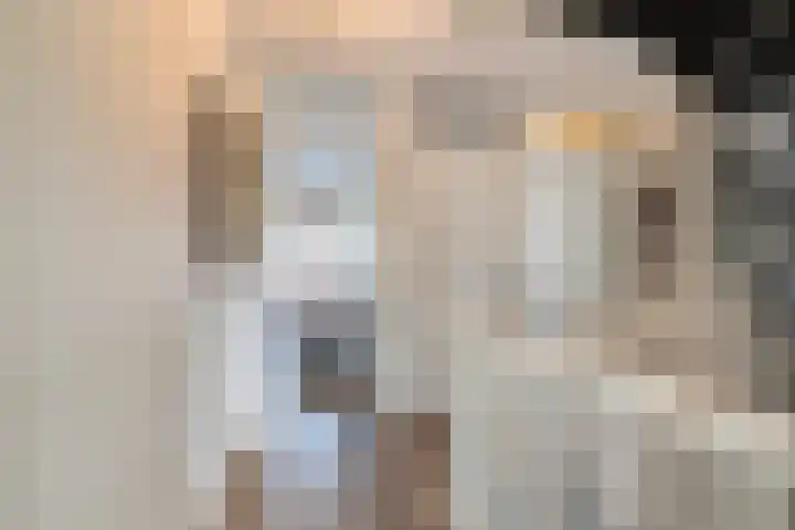 Francijntje de Kadtlaan 35 Vlaardingen thumbnail 30