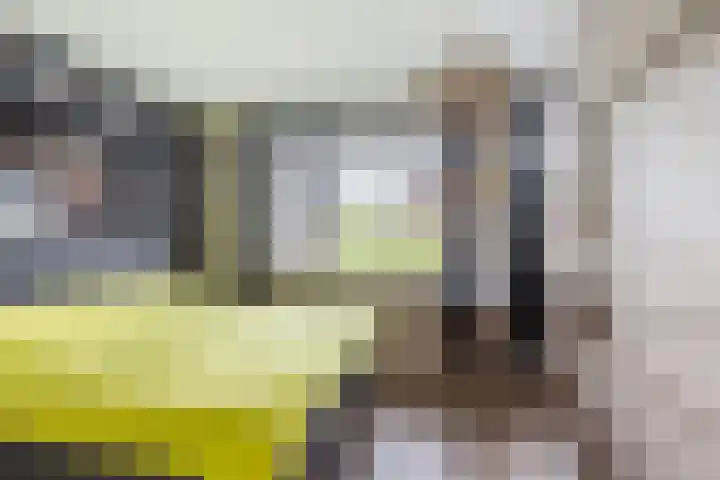 Francijntje de Kadtlaan 35 Vlaardingen thumbnail 34