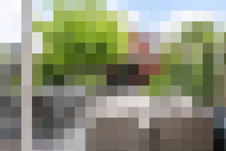 Francijntje de Kadtlaan 35 Vlaardingen thumbnail 4