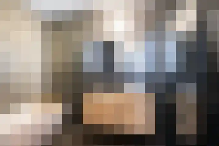 Francijntje de Kadtlaan 35 Vlaardingen thumbnail 40