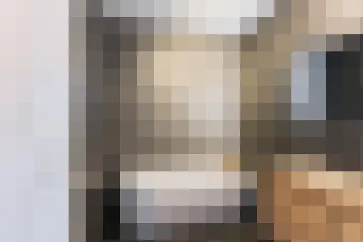 Francijntje de Kadtlaan 35 Vlaardingen thumbnail 41