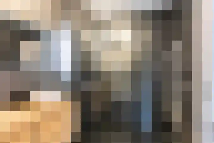 Francijntje de Kadtlaan 35 Vlaardingen thumbnail 42