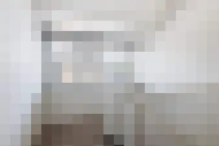 Francijntje de Kadtlaan 35 Vlaardingen thumbnail 44
