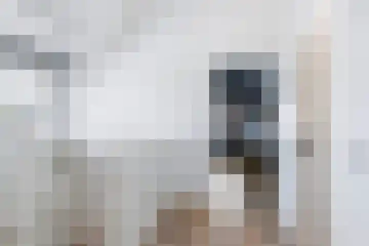 Francijntje de Kadtlaan 35 Vlaardingen thumbnail 45