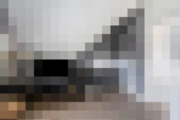 Francijntje de Kadtlaan 35 Vlaardingen thumbnail 49