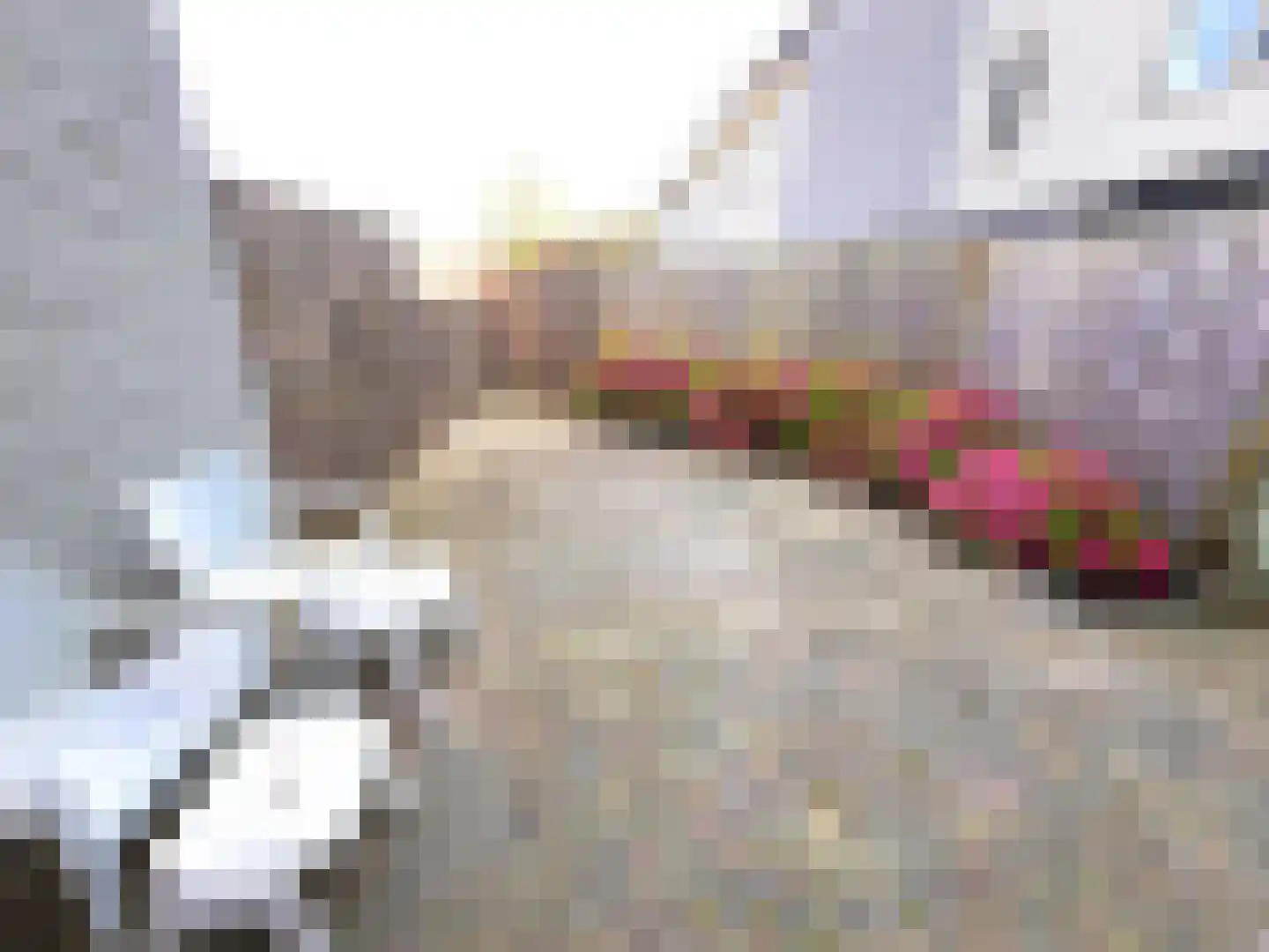 Francina Spoelstraat 15 Hoofddorp thumbnail 25