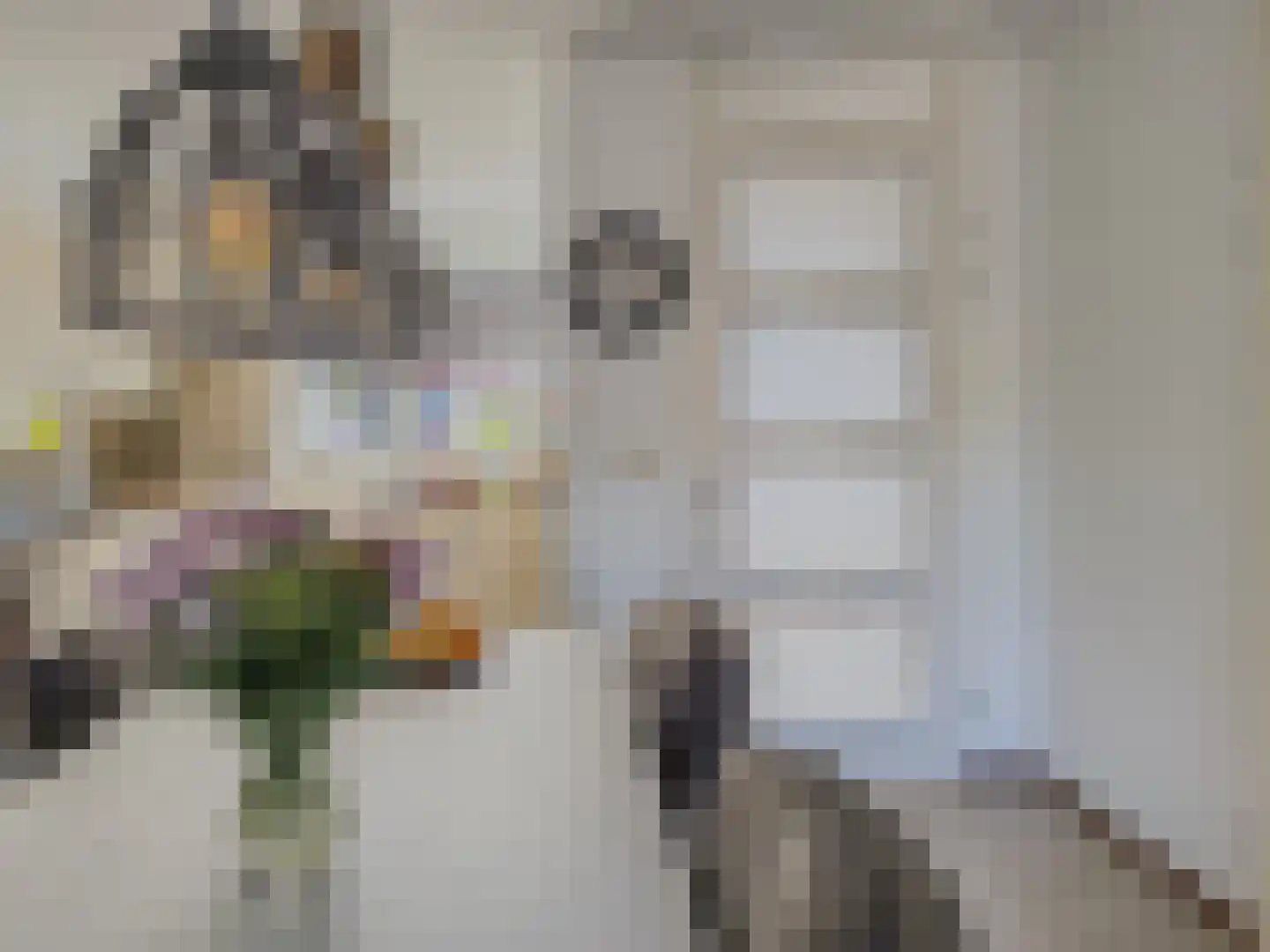 Francis Picabiastraat 13 Rotterdam thumbnail 12