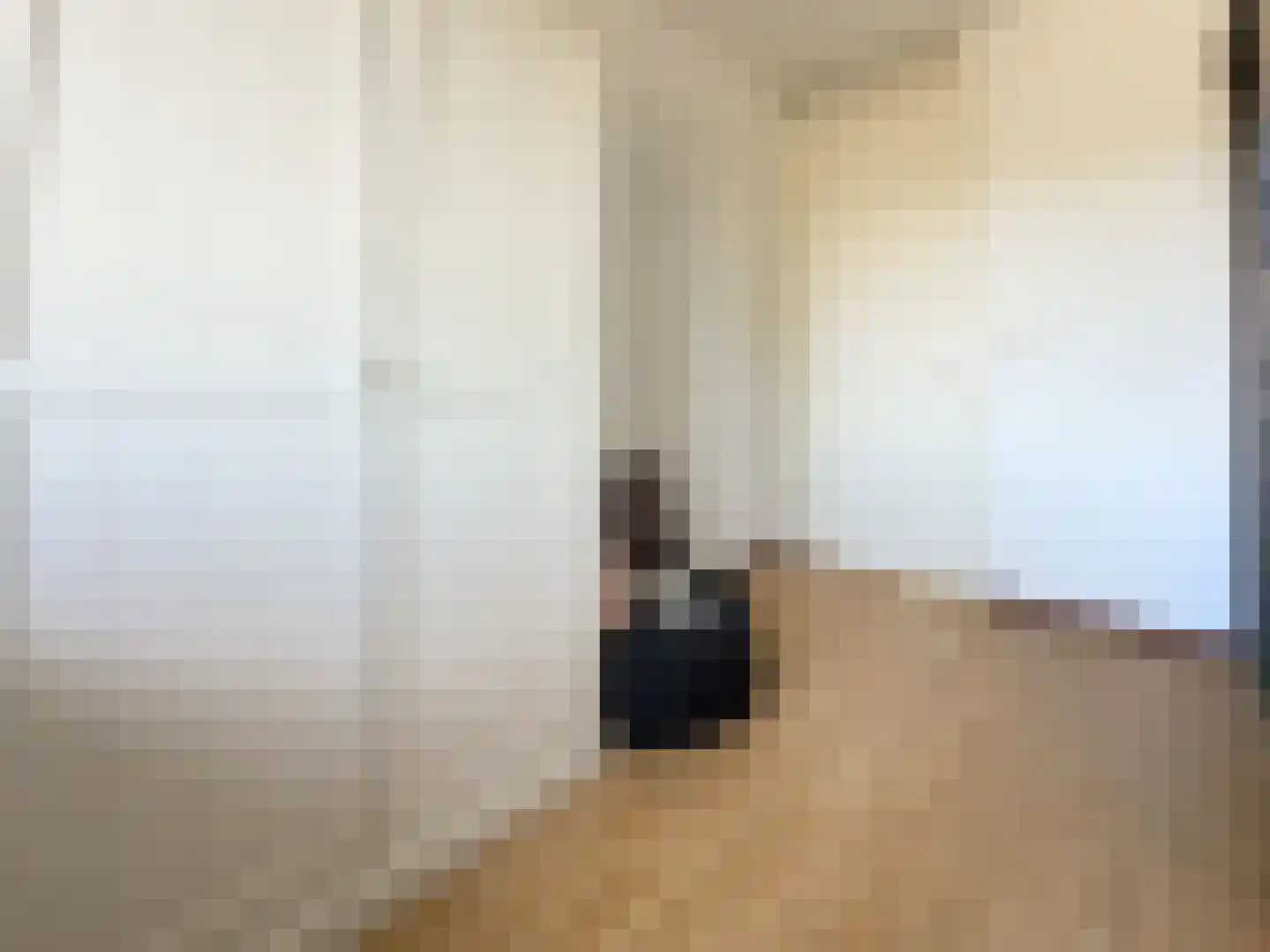 Francis Picabiastraat 13 Rotterdam thumbnail 23