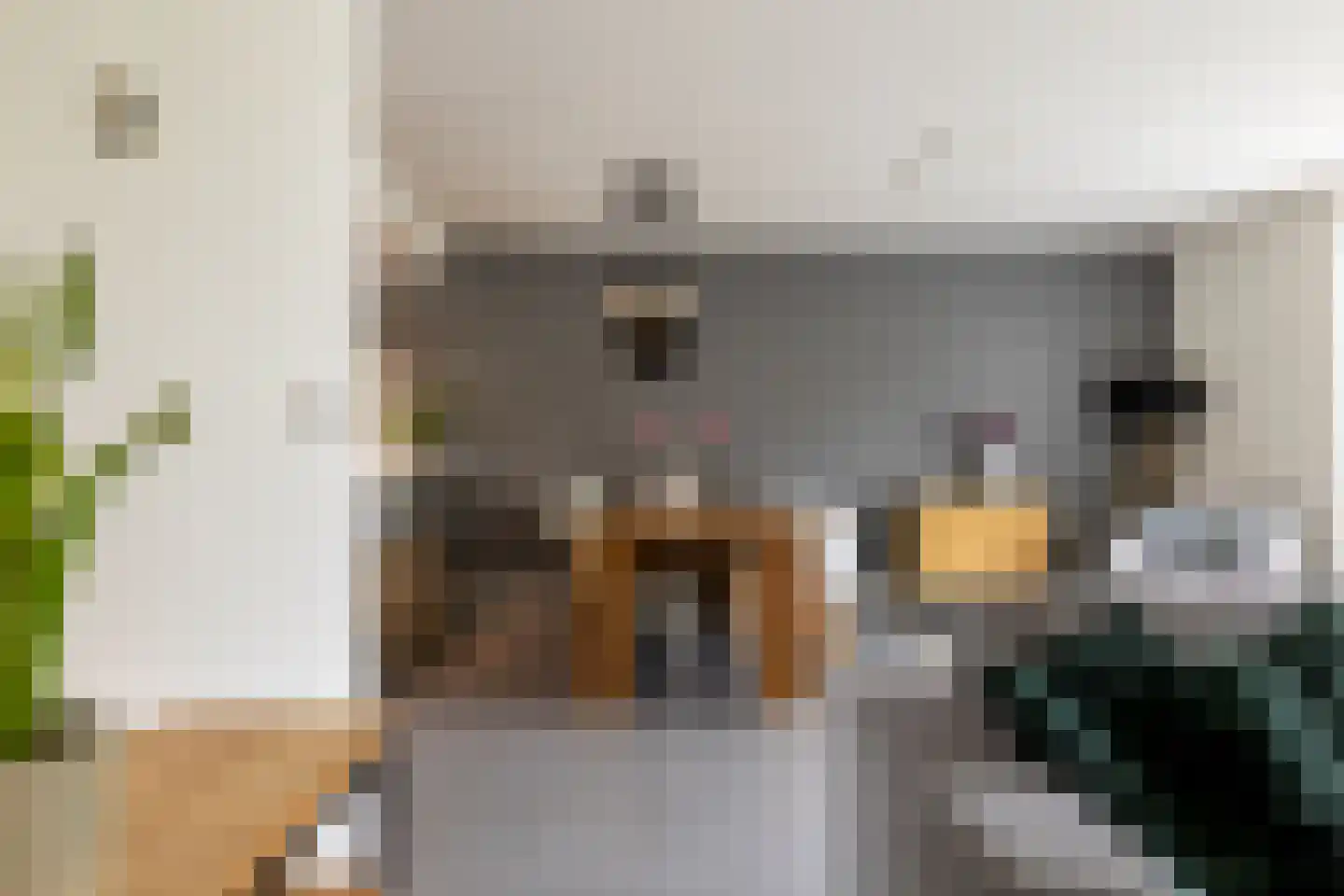 Francis Picabiastraat 14 Rotterdam thumbnail 16