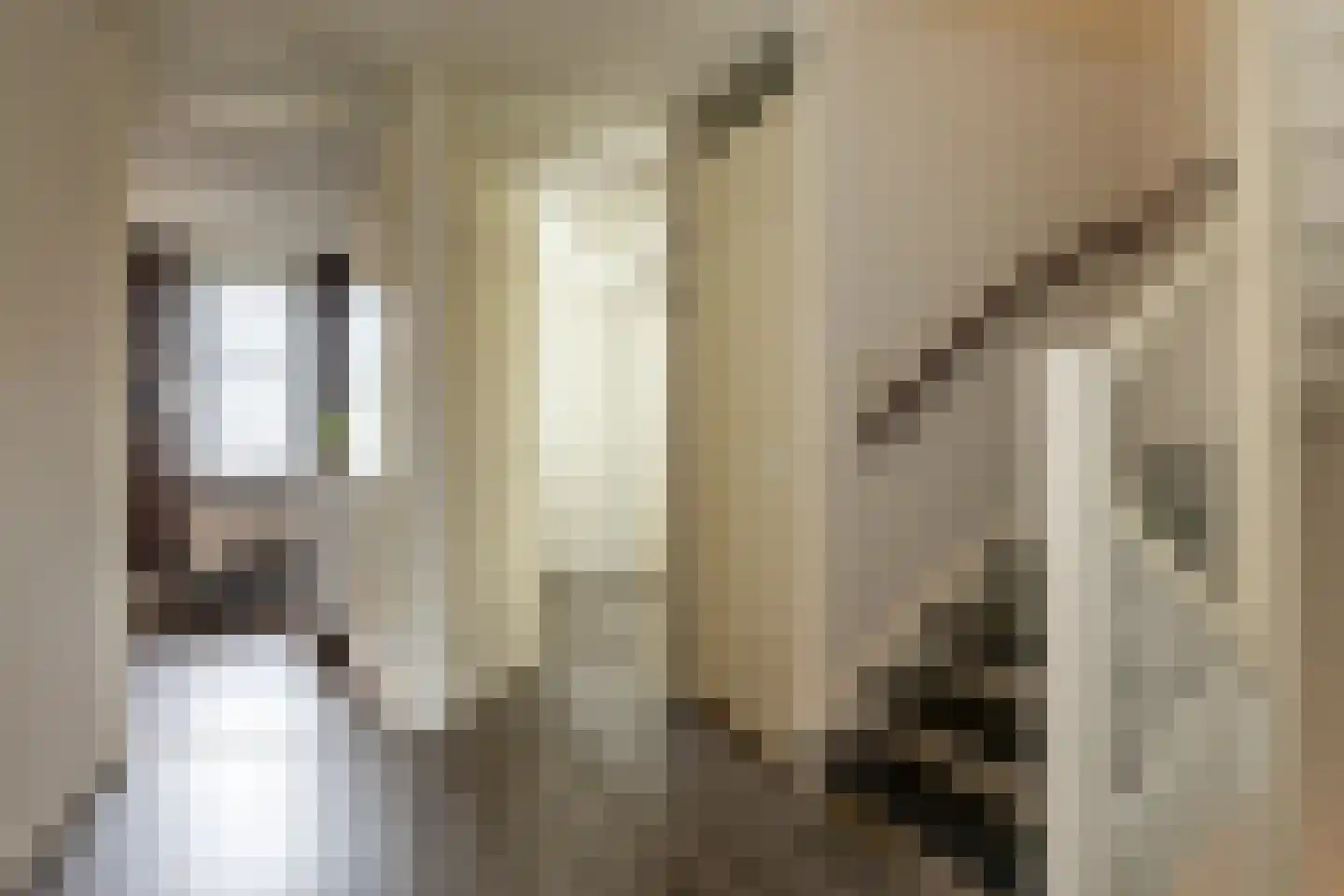 Francis Picabiastraat 14 Rotterdam thumbnail 31