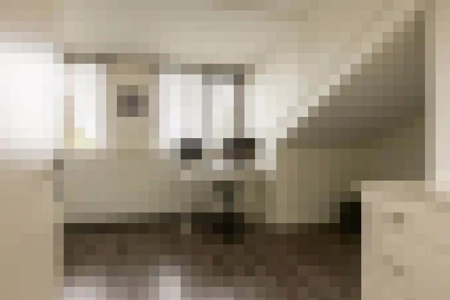 Francis Picabiastraat 14 Rotterdam thumbnail 32
