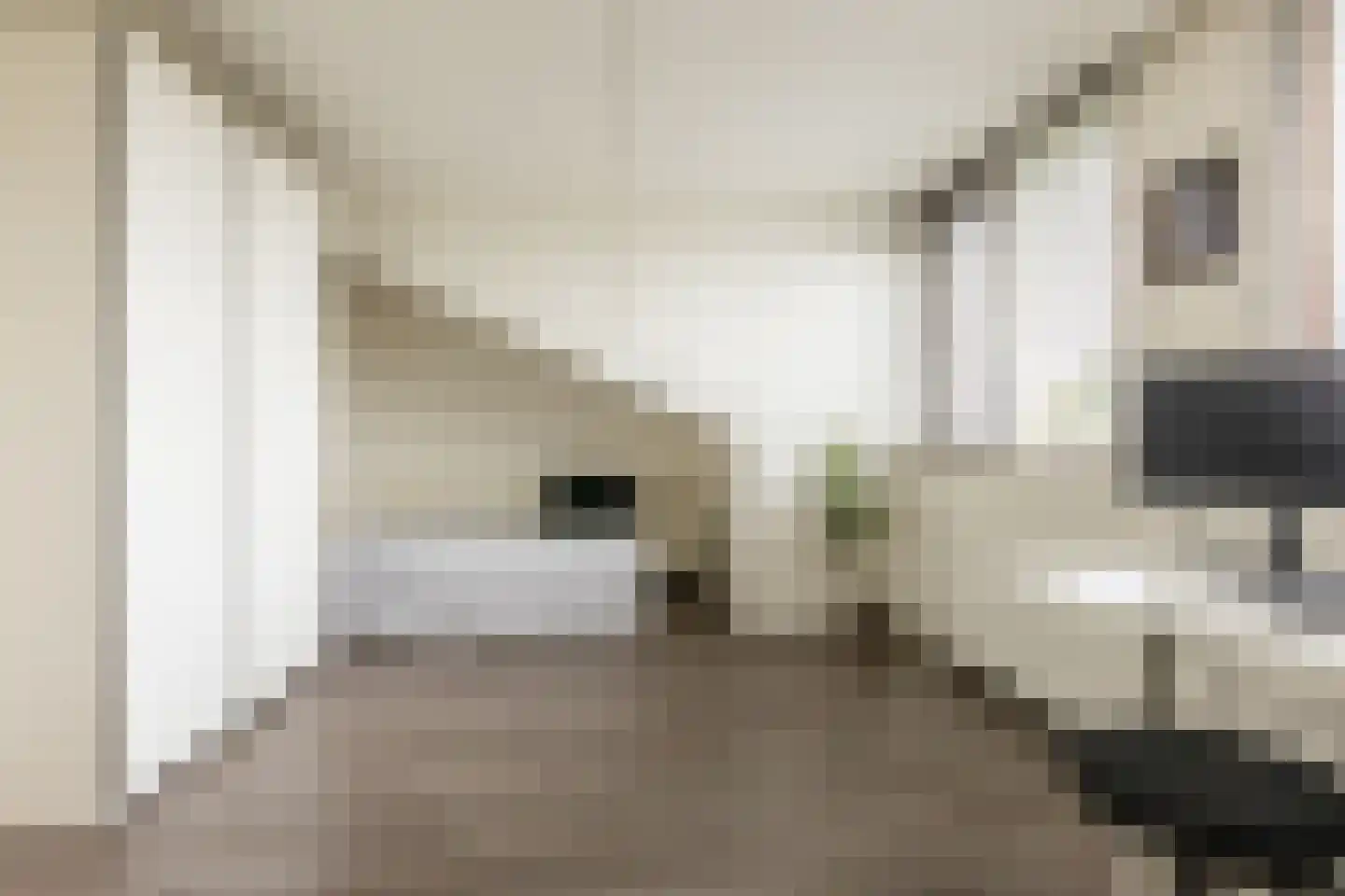 Francis Picabiastraat 14 Rotterdam thumbnail 33