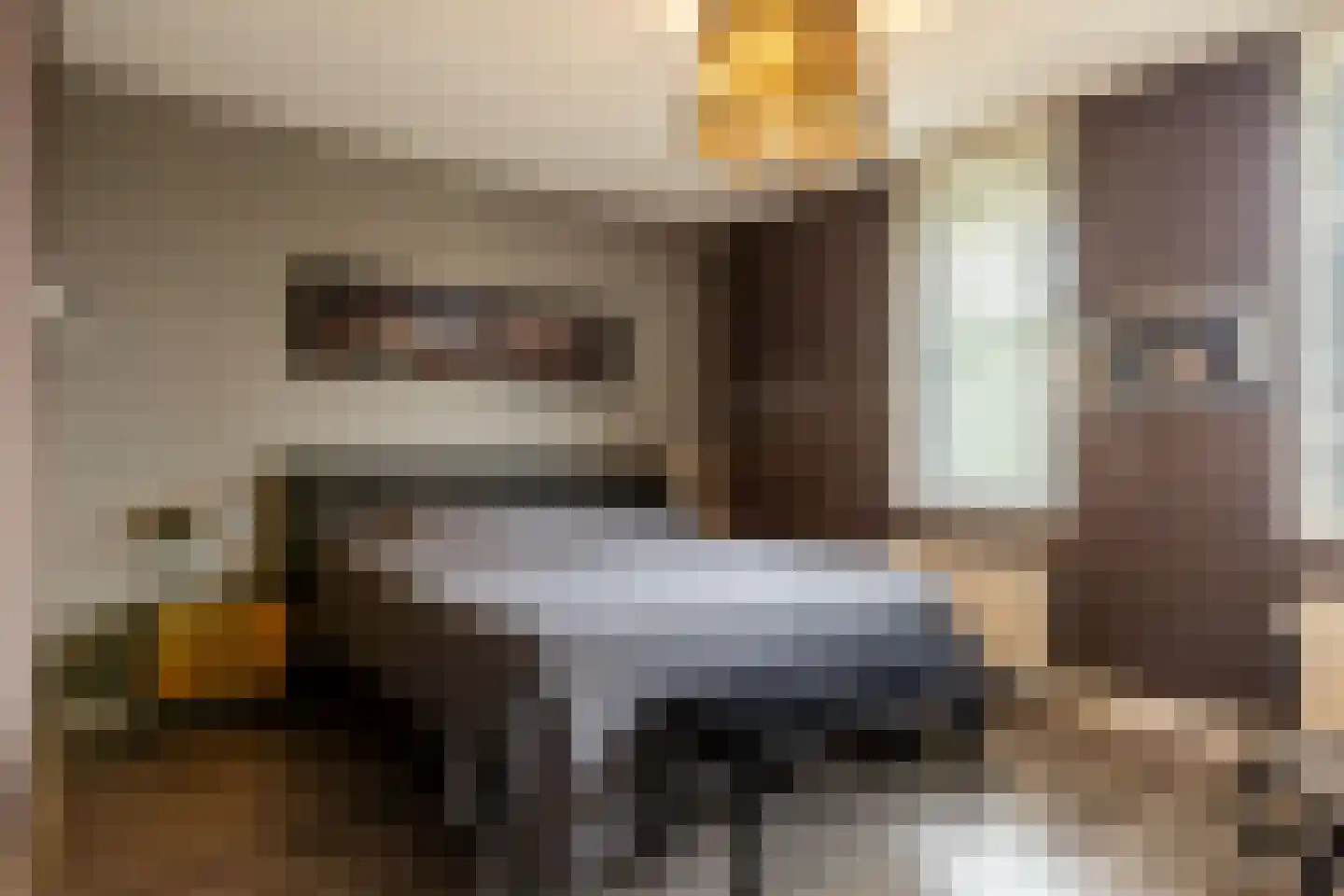 Francis Picabiastraat 14 Rotterdam thumbnail 5
