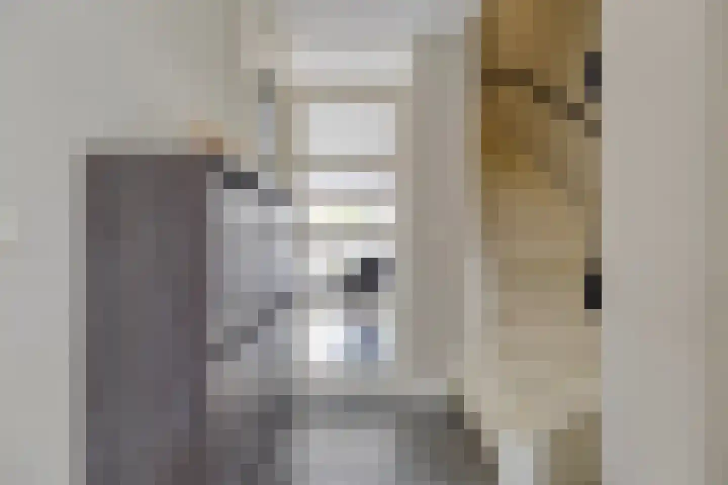Francis Picabiastraat 25 Rotterdam thumbnail 11