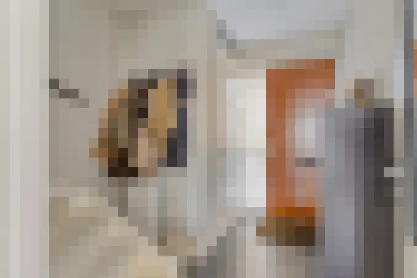 Francis Picabiastraat 25 Rotterdam thumbnail 12