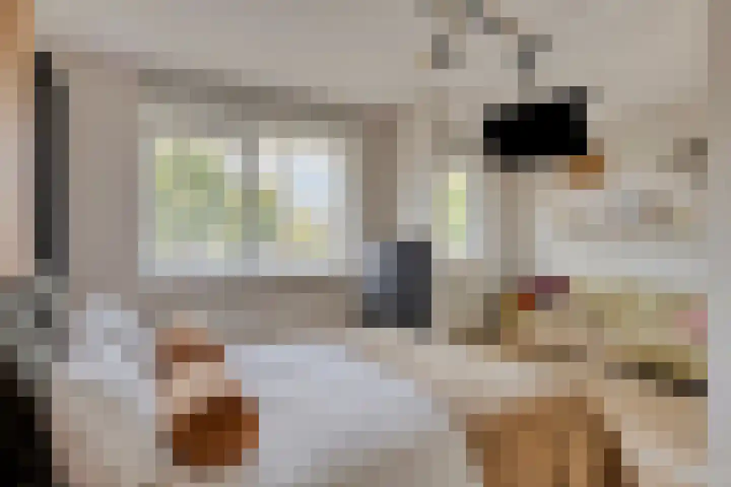 Francis Picabiastraat 25 Rotterdam thumbnail 21