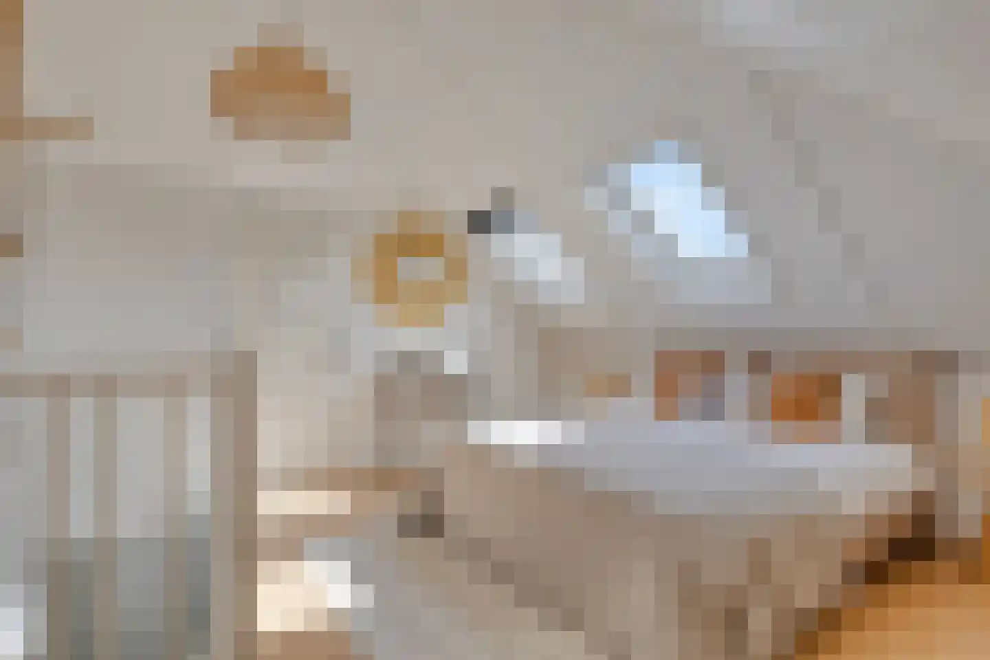 Francis Picabiastraat 25 Rotterdam thumbnail 27