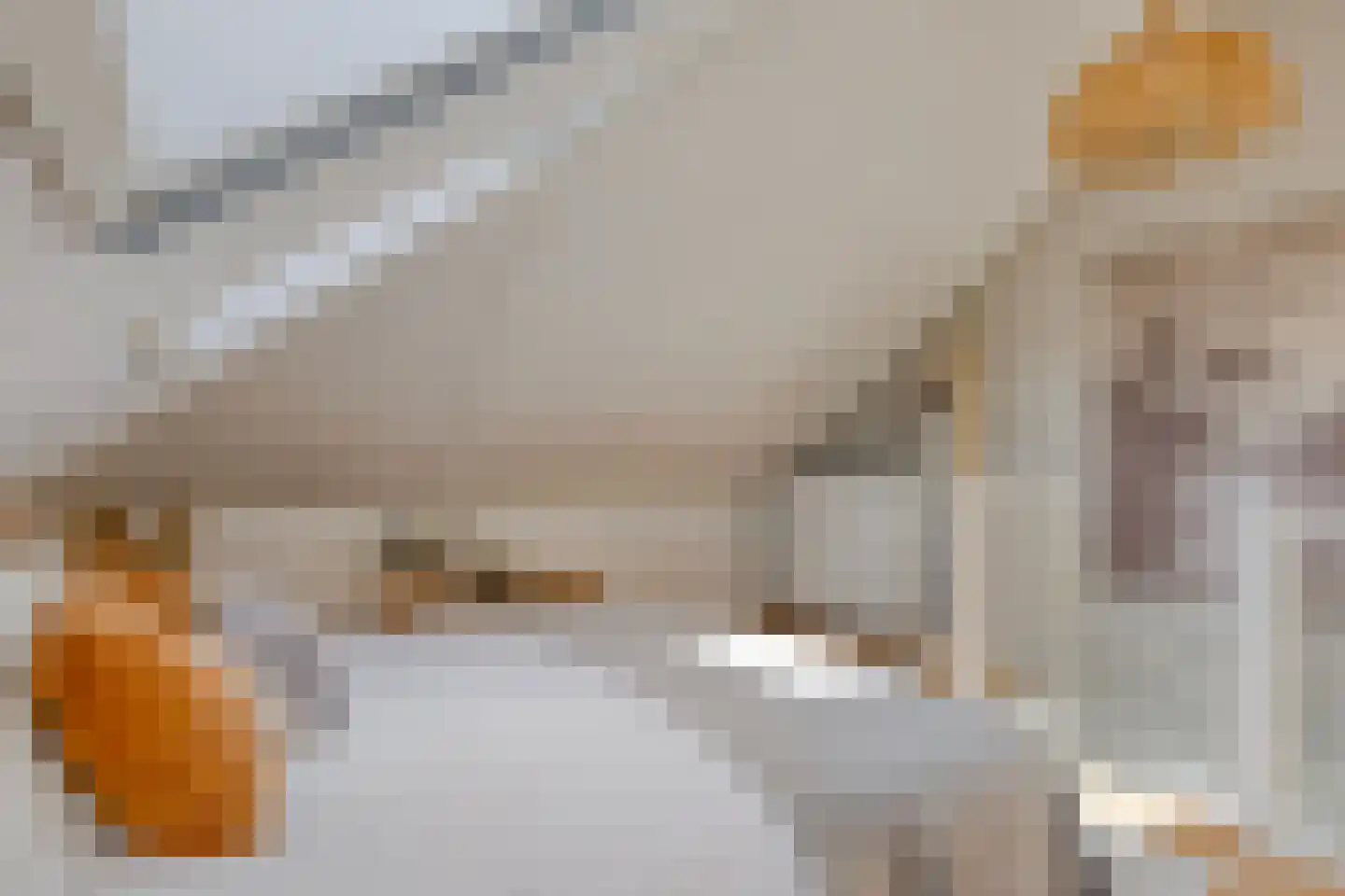 Francis Picabiastraat 25 Rotterdam thumbnail 28