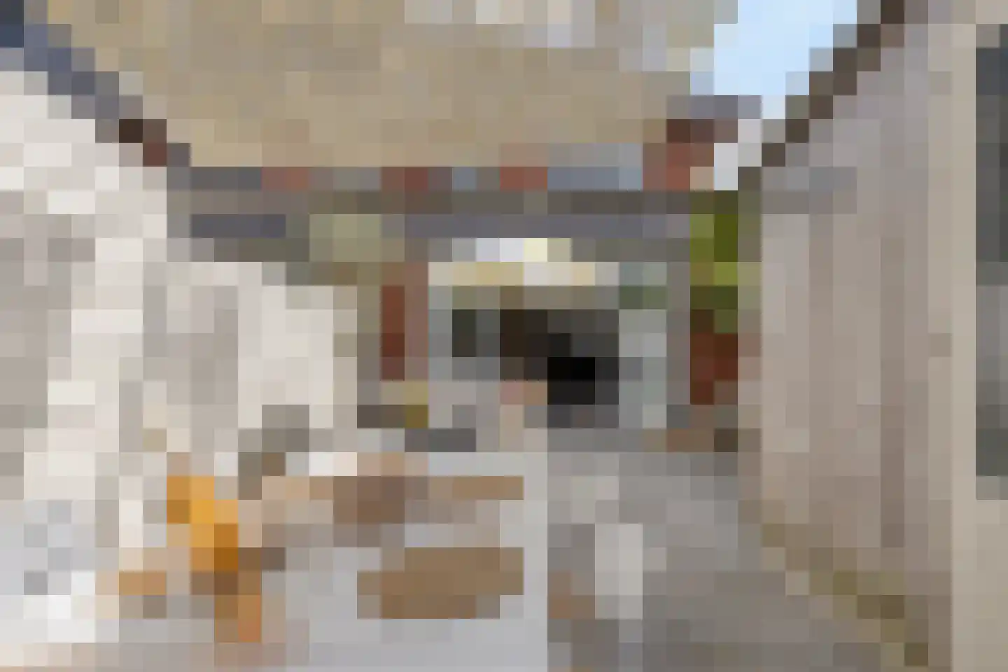 Francis Picabiastraat 25 Rotterdam thumbnail 32