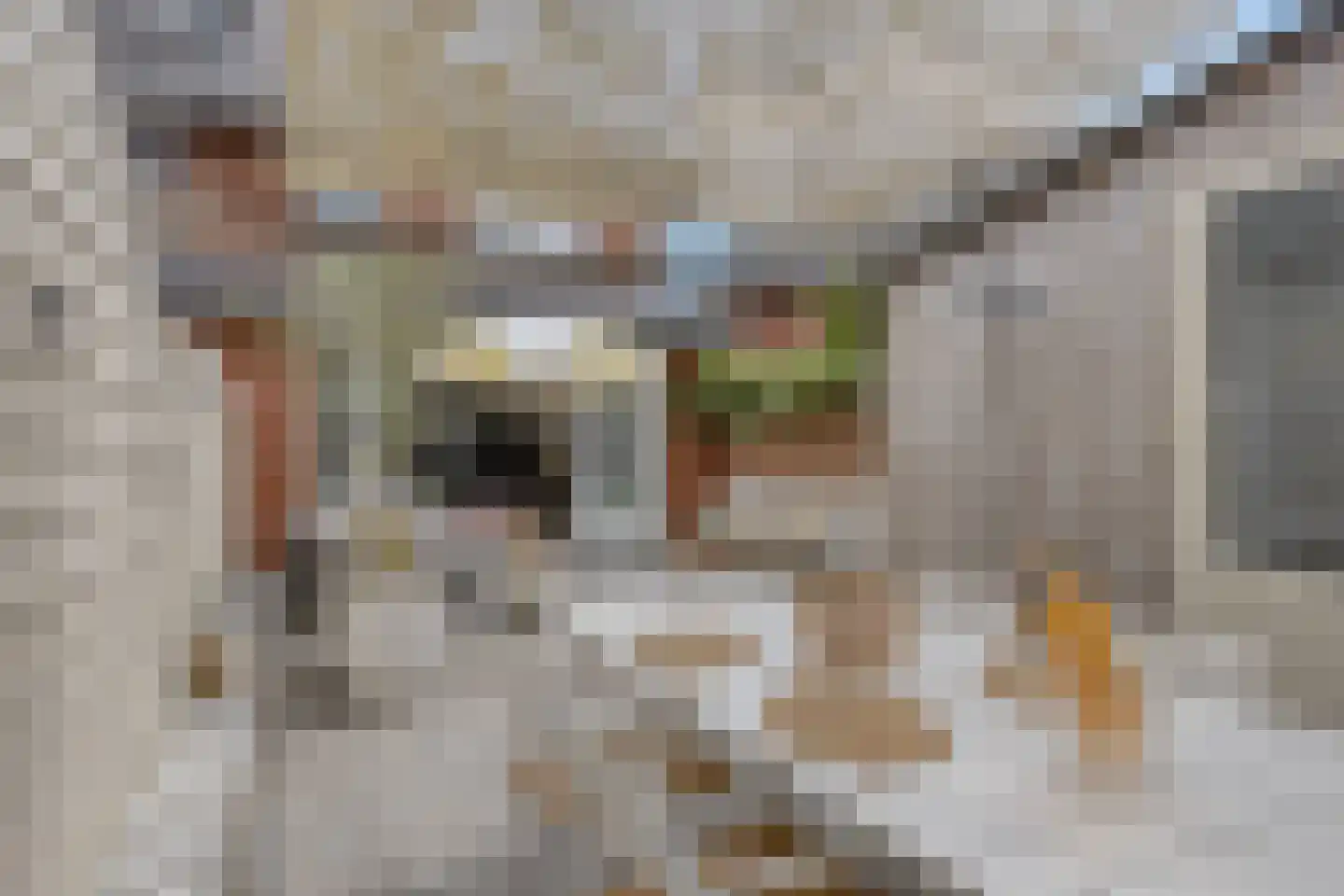 Francis Picabiastraat 25 Rotterdam thumbnail 33
