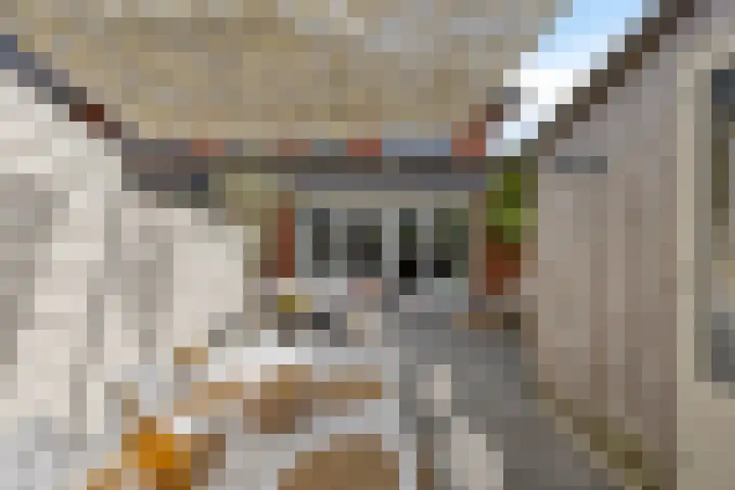 Francis Picabiastraat 25 Rotterdam thumbnail 34