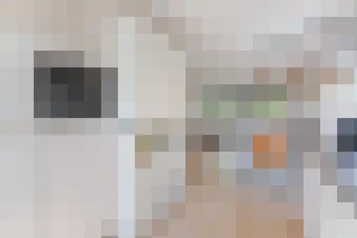 Francis Picabiastraat 29 Rotterdam thumbnail 15