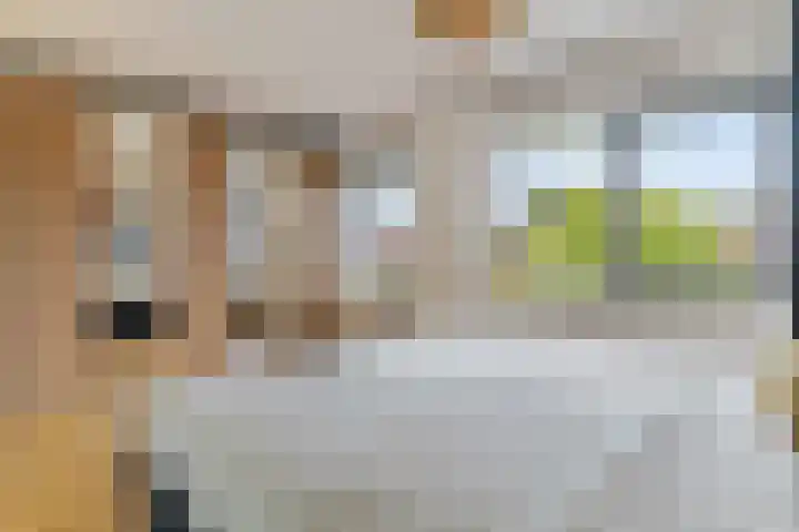 Francis Picabiastraat 29 Rotterdam thumbnail 18