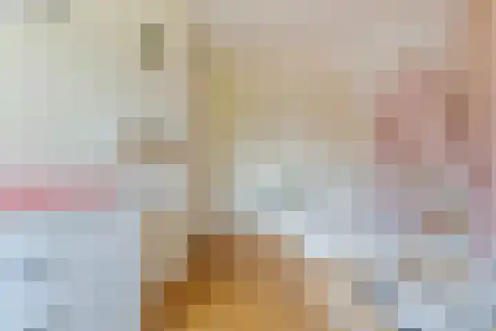 Francis Picabiastraat 29 Rotterdam thumbnail 19