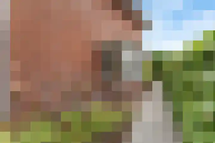 Francis Picabiastraat 29 Rotterdam thumbnail 31
