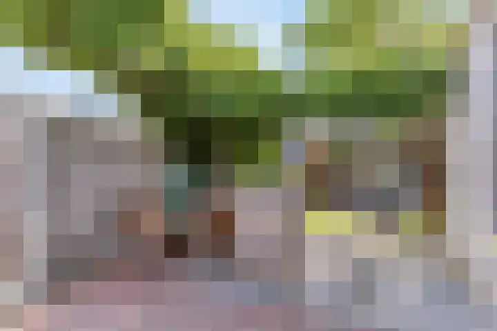 Francis Picabiastraat 29 Rotterdam thumbnail 33