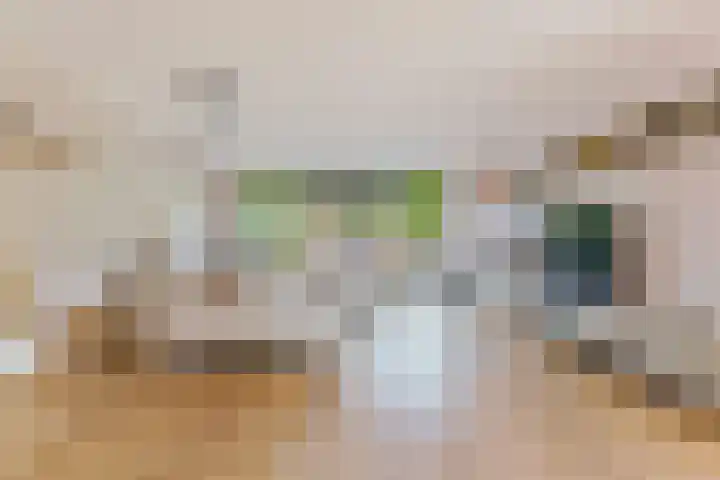 Francis Picabiastraat 29 Rotterdam thumbnail 6