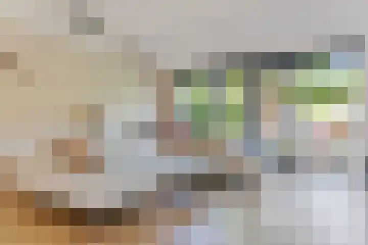 Francis Picabiastraat 29 Rotterdam thumbnail 7