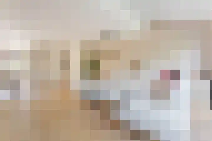 Francis Picabiastraat 29 Rotterdam thumbnail 8
