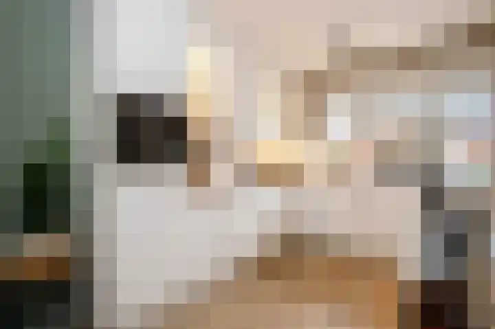 Francis Picabiastraat 55 Rotterdam thumbnail 13