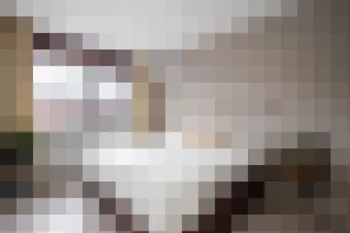Francis Picabiastraat 55 Rotterdam thumbnail 18